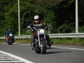 hp_dsc_9081